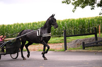 AJB_3075