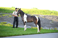 ASH_0582