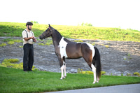 ASH_0586