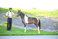 ASH_0590