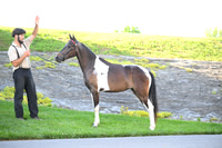 ASH_0597