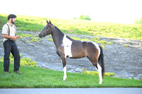 ASH_0601