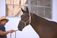 AJB_3197