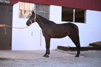 AJB_3199