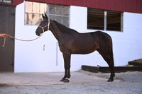 AJB_3200