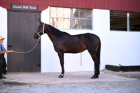 AJB_3203