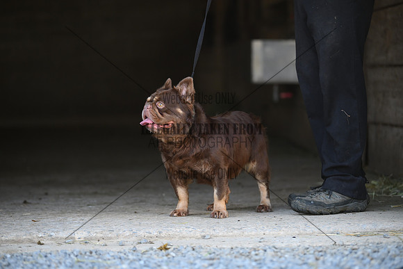 AJB_2366