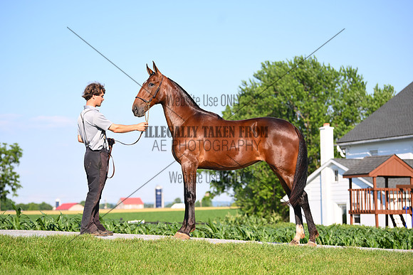 AJB_0792
