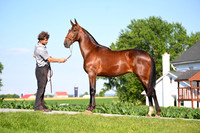 AJB_0793
