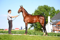 AJB_0795