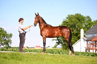 AJB_0796