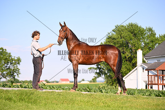 AJB_0796