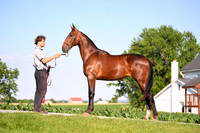 AJB_0799