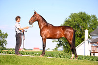 AJB_0800