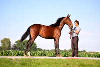 AJB_0801