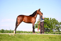 AJB_0802