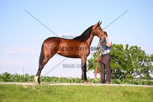 AJB_0802