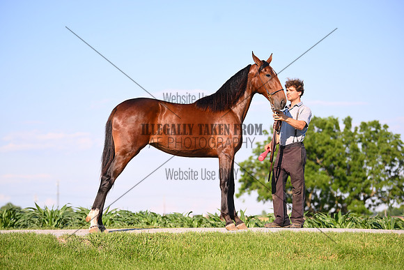 AJB_0803