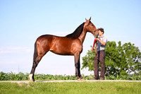 AJB_0804