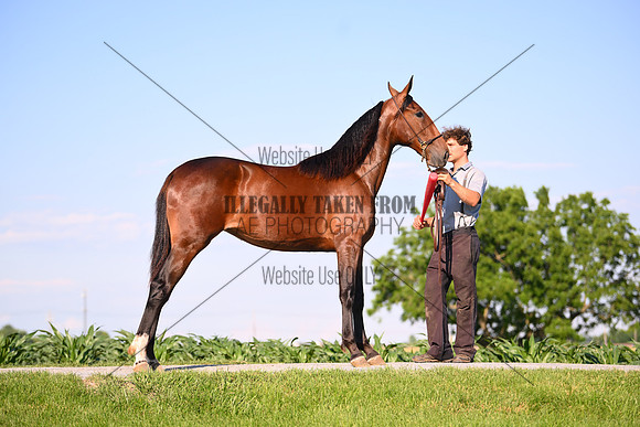 AJB_0804