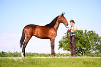 AJB_0806