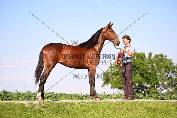 AJB_0806