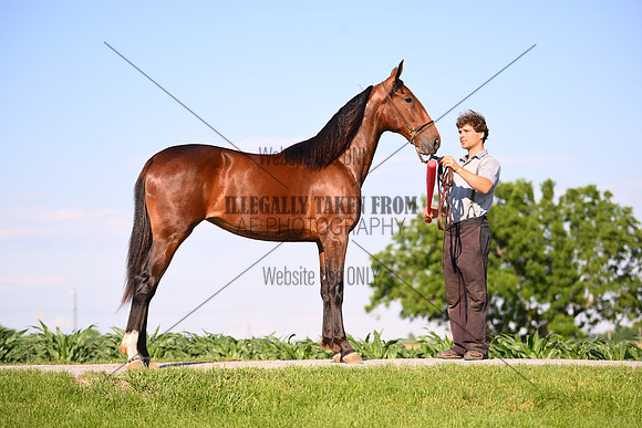 AJB_0807