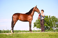 AJB_0808