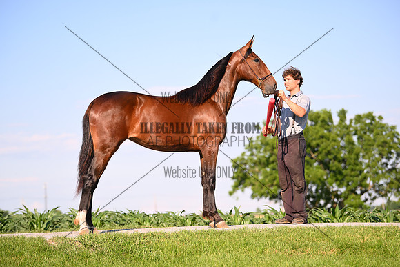 AJB_0808