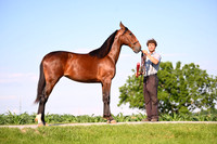 AJB_0809