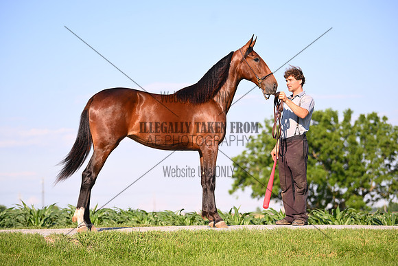 AJB_0811