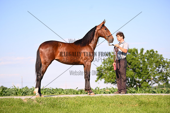 AJB_0812