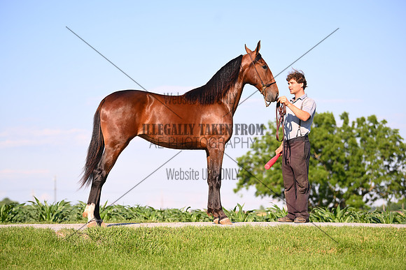 AJB_0813