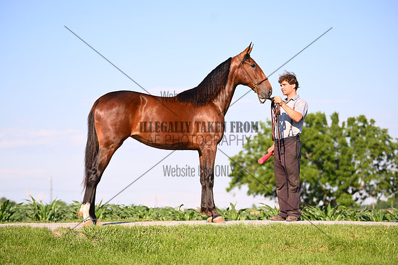 AJB_0814
