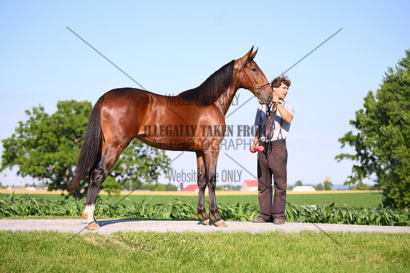 AJB_0815