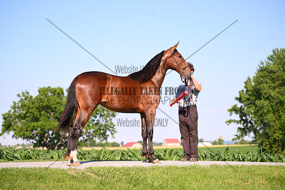 AJB_0819