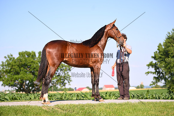 AJB_0820