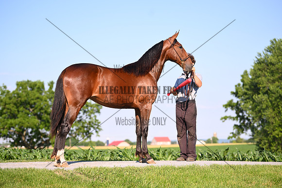 AJB_0821