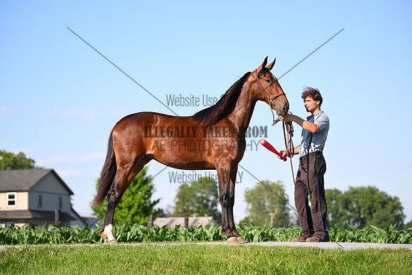 AJB_0824