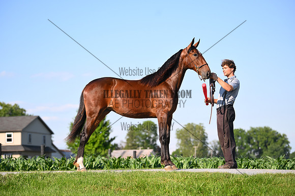 AJB_0825