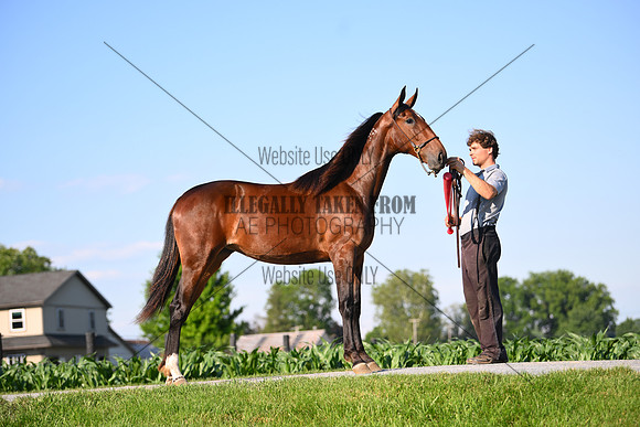 AJB_0826
