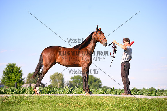 AJB_0830