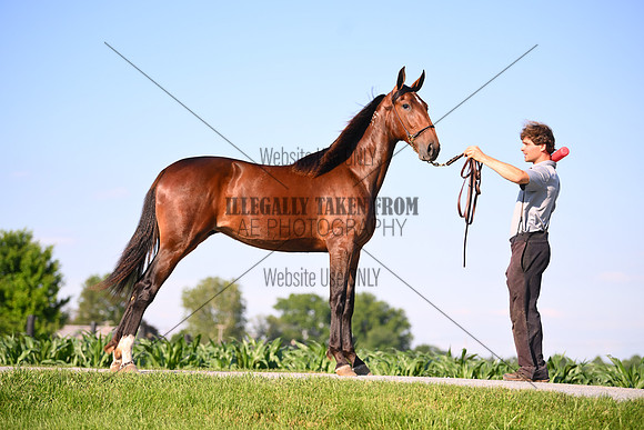AJB_0832