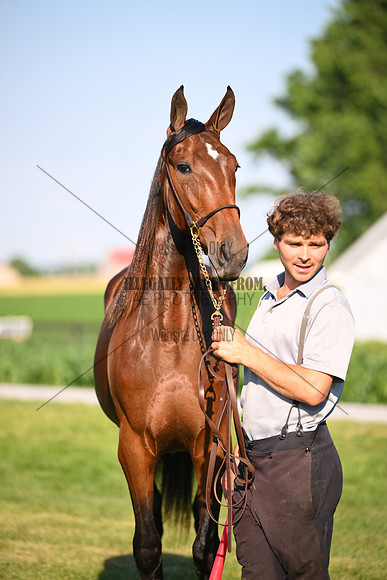 AJB_0838