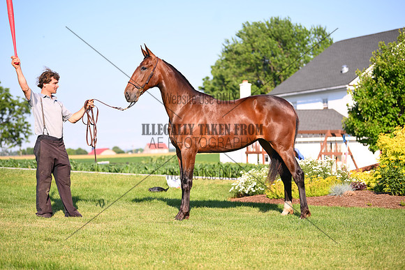 AJB_0860