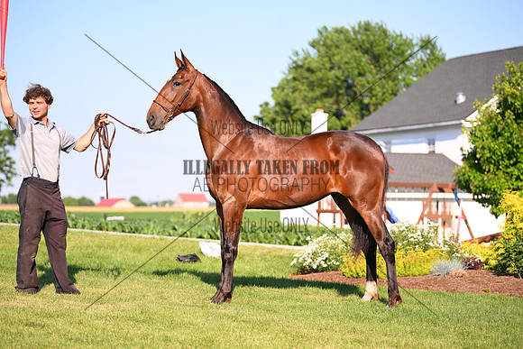 AJB_0862