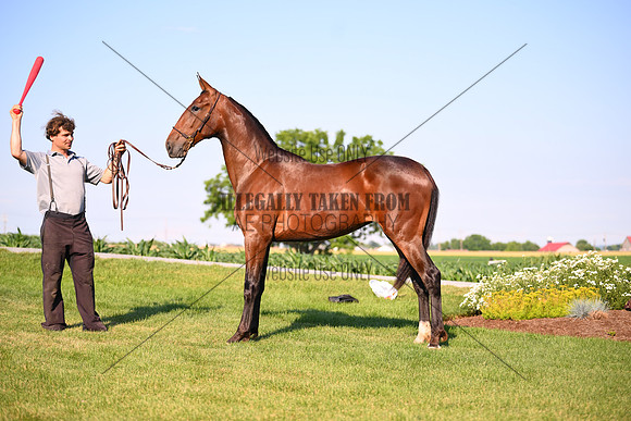 AJB_0866