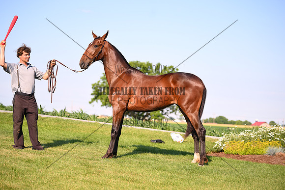 AJB_0867