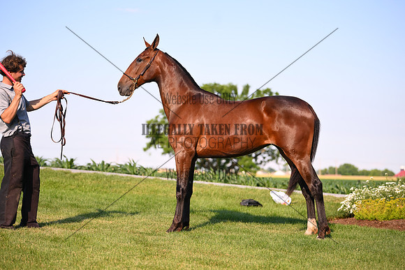 AJB_0870