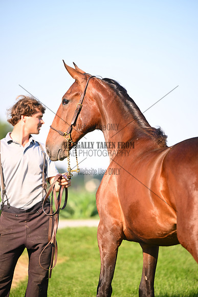 AJB_0883